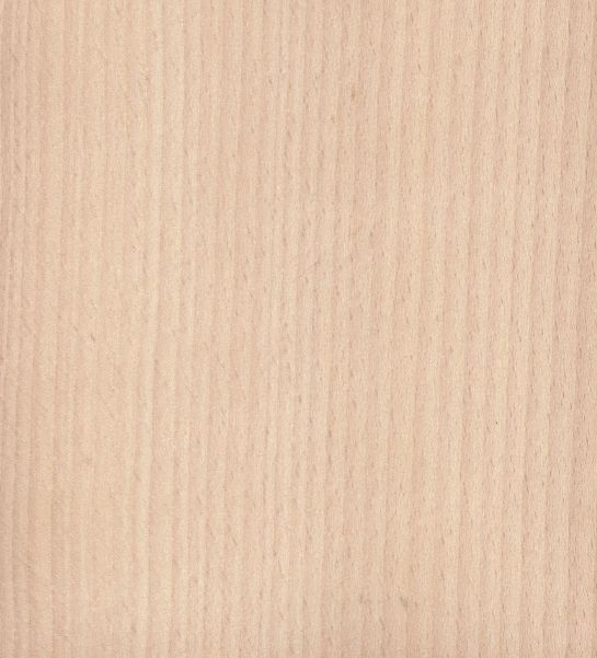 Fineerhout Witte beuk (ongestoomd)